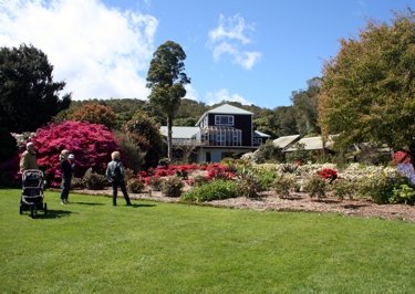 Фото Pukeiti Rhododendron Gardens. Новая Зеландия, Таранаки, Эгмонт Нешнел Парк, Уэро Трек
