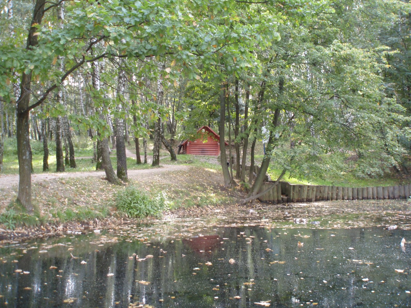 парк в ясенево