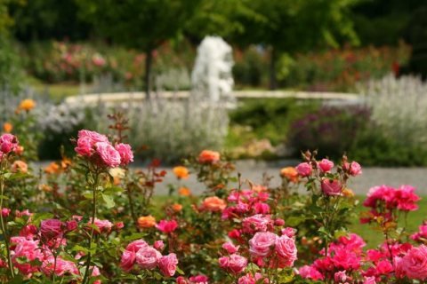  Woodland Park Rose Garden.   , , , Zoo acrd