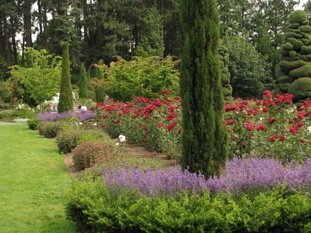  Woodland Park Rose Garden.   , , , Zoo acrd