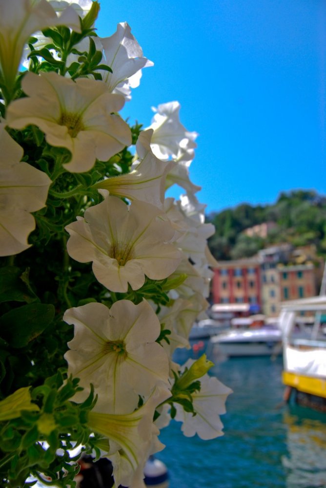  . , , Portofino, Vicolo Dritto, 39