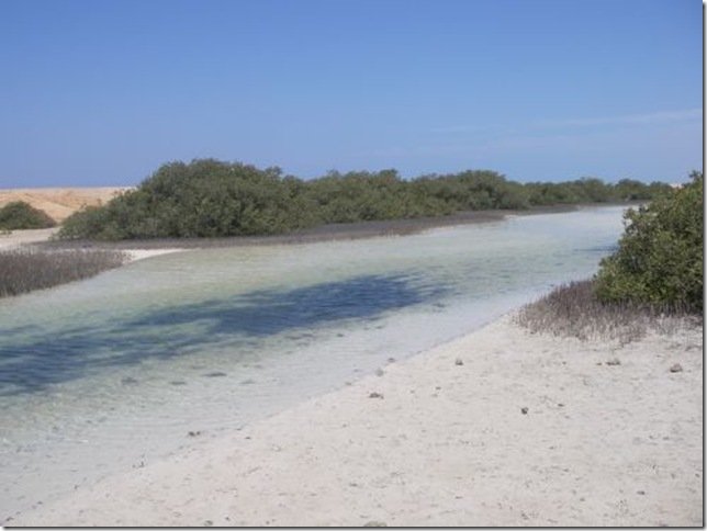    -. , South Sinai Governorate, Sharm Al Sheikh - Raas Mohammed