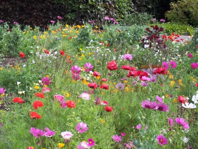    . , Borde Hill Garden, Jack Vass Cottages, 1