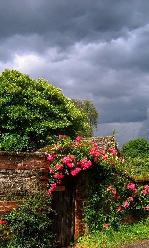    . , Borde Hill Garden, Jack Vass Cottages, 1