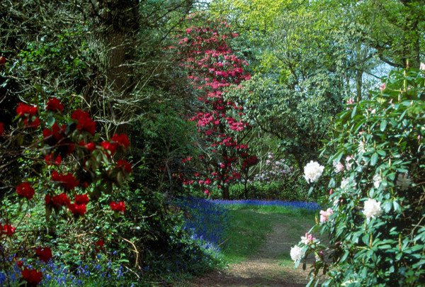    . , Borde Hill Garden, Jack Vass Cottages, 1