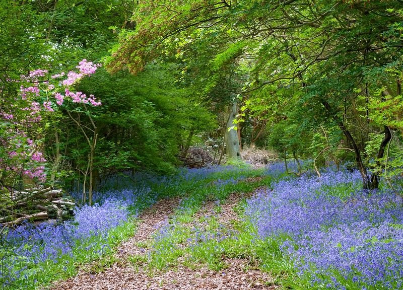    . , Borde Hill Garden, Jack Vass Cottages, 1