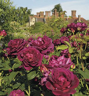    . , Borde Hill Garden, Jack Vass Cottages, 1