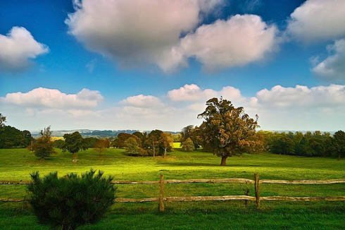    . , Borde Hill Garden, Jack Vass Cottages, 1