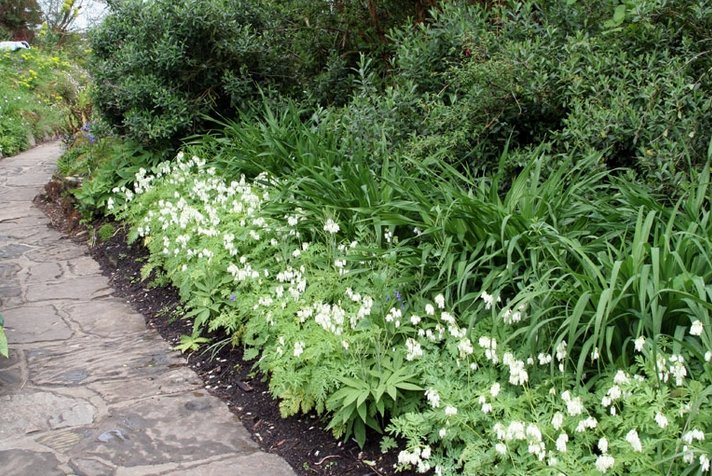    . , Borde Hill Garden, Jack Vass Cottages, 1