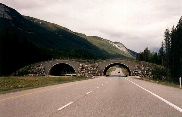    . , , Trans-Canada Highway
