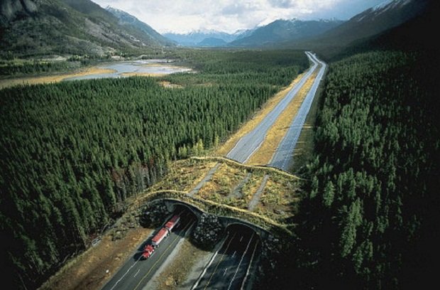    . , , Trans-Canada Highway
