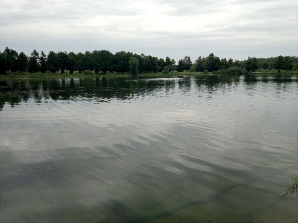 Фото озеро. Россия, Московская область, Востряково, проспект Туполева, 6