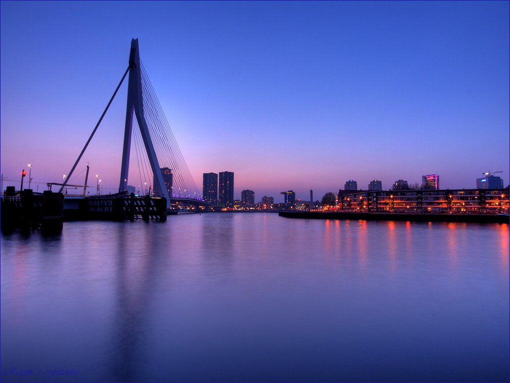   . , Zuid-Holland, Rotterdam, Erasmusbrug