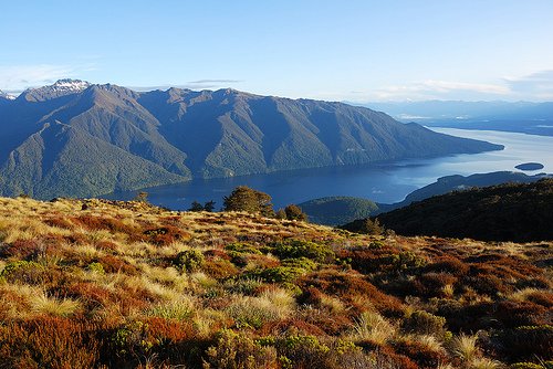    .  , Southland, Fiordland National Park, Wilmot Pass Road, 2018