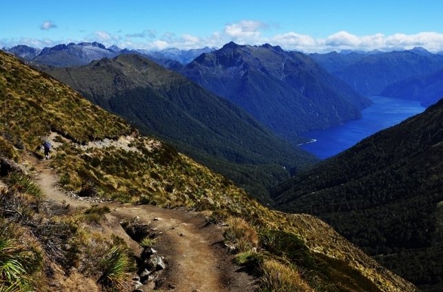    .  , Southland, Fiordland National Park, Wilmot Pass Road, 2018