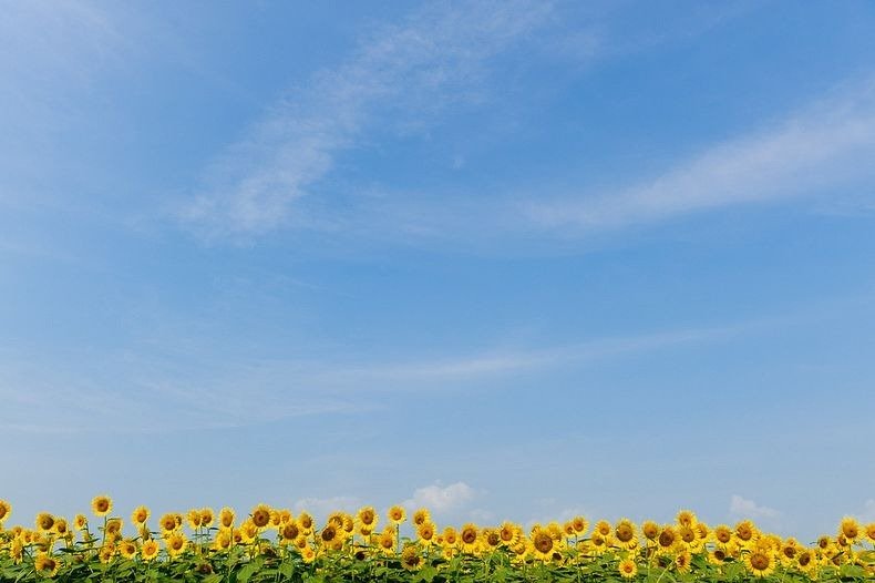   . , Hokkaido, Hokuryu-cho