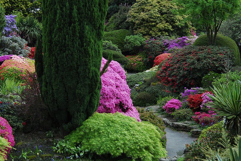    (Leonardslee Gardens). ,  , 