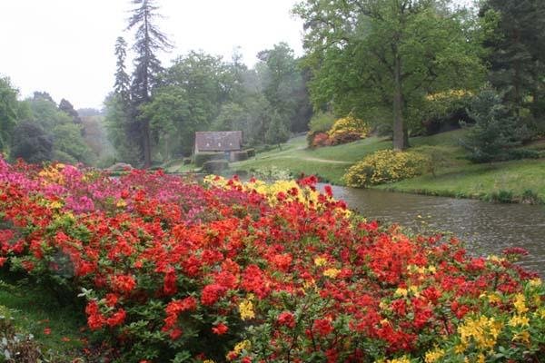    (Leonardslee Gardens). ,  , 