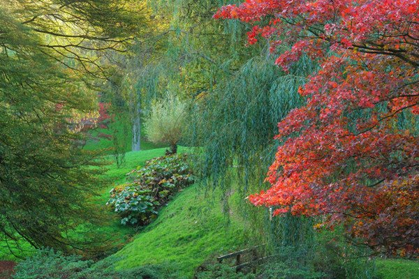    (Leonardslee Gardens). ,  , 