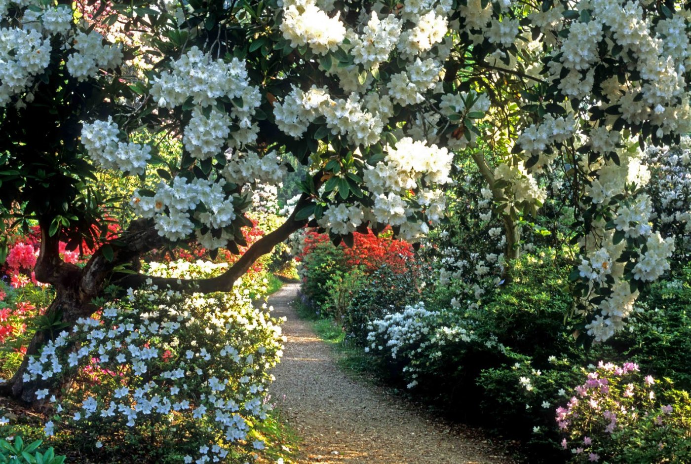    (Leonardslee Gardens). ,  , 