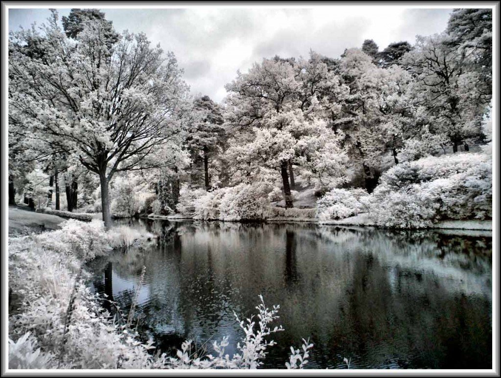    (Leonardslee Gardens). ,  , 