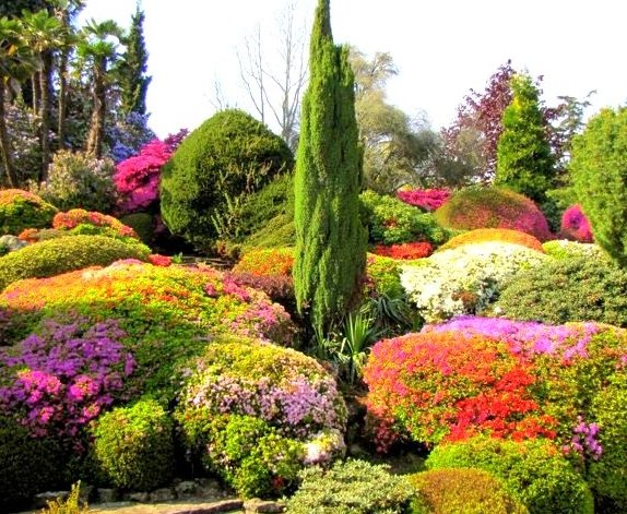    (Leonardslee Gardens). ,  , 