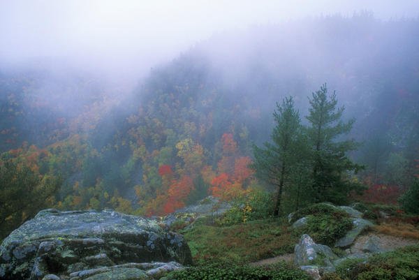    .   , Maine, Mount Desert, Sargeant Drive