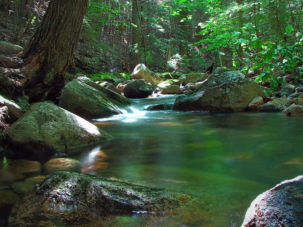    .   , Maine, Mount Desert, Sargeant Drive