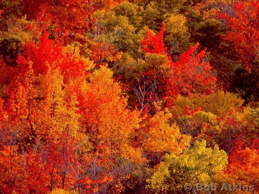    .   , Maine, Mount Desert, Sargeant Drive