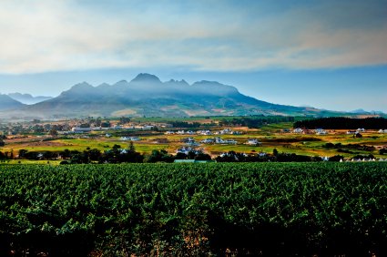  .  , Western Cape, Stellenbosch, Hamandshand Road