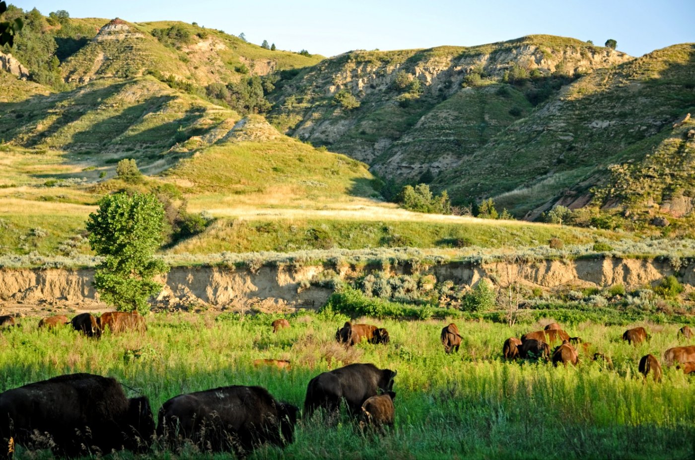     .   , North Dakota, Medora, Unnamed Road