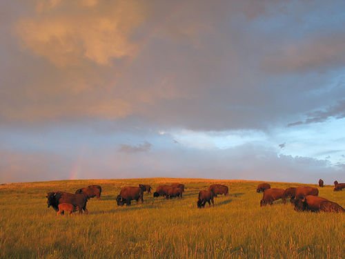     .   , North Dakota, Medora, Unnamed Road