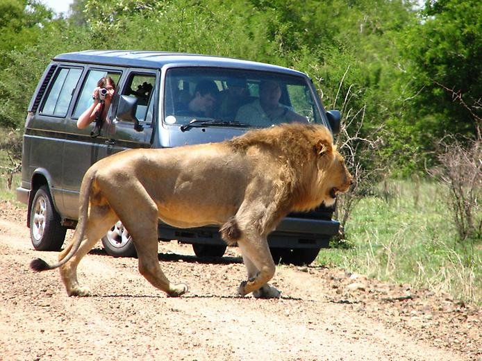    .  , Limpopo, Kruger National Park, H1-5
