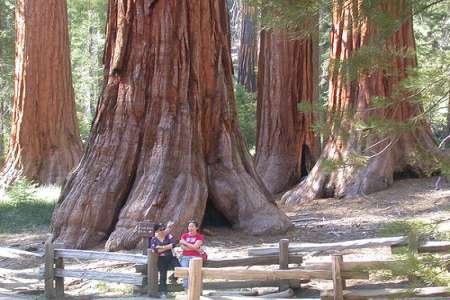    .   , California, Tioga Road